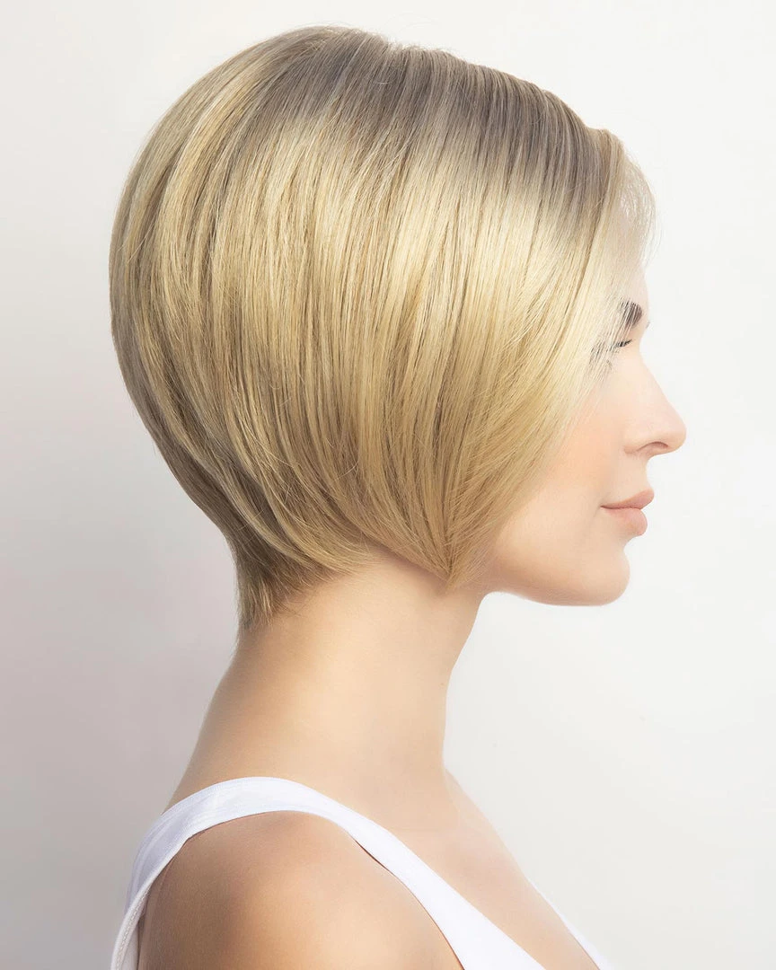 Emy | Lace Front & Monofilament Synthetic Wig By Amore Wigs For Women