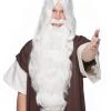 Costume Wigs Wizard Beard & Wig | By Characters