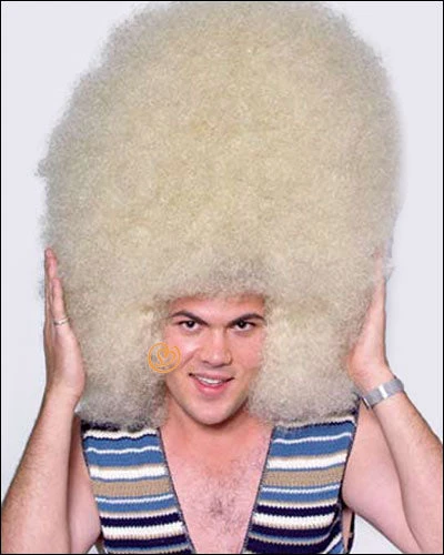Costume Wigs Super Size Afro | Costume Wig By Characters