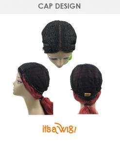 Camryn | Lace Part Synthetic Wig By It's A Wig