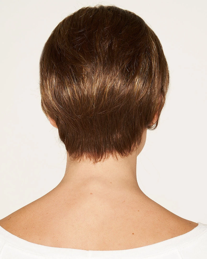 Wigs For Women Reno | Lace Front & Monofilament Synthetic Wig By Dream USA