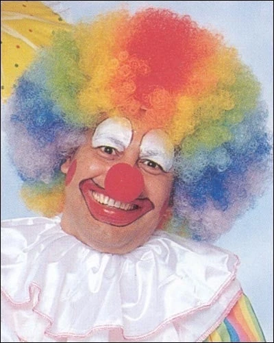 Franco Costume Wigs Jumbo Afro Costume Wig By Franco