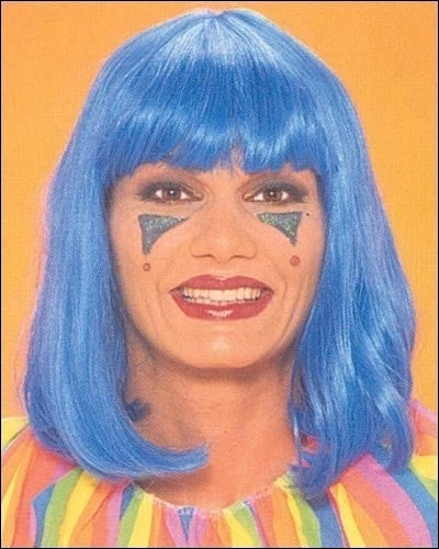 Franco Costume Wigs Peggy Sue Costume Wig By Franco