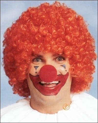 Franco Costume Wigs Economy Afro Costume Wig By Franco