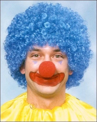 Franco Costume Wigs Economy Afro Costume Wig By Franco