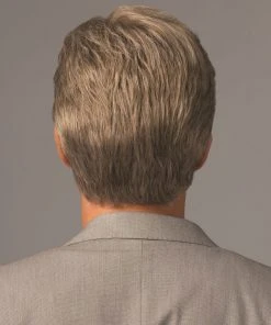 Sophistication | Average/Large Men's Lace Front & Monofilament Synthetic Wig By HIM