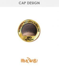 Frontal 360 Lace Tamara | Lace Front Human Hair Blend Wig By It's A Wig Wigs For Black Women