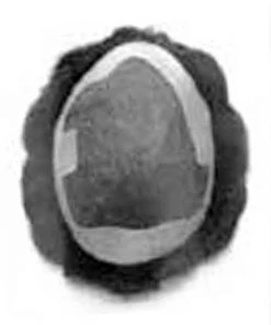 Leo | Men's Hairpiece By Leading Man