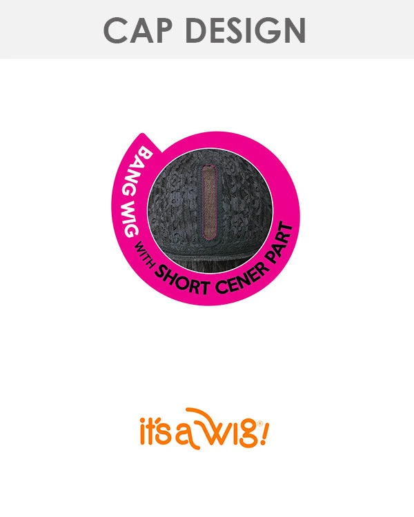 Skylar | Lace Part Synthetic Wig By It's A Wig Wigs For Black Women