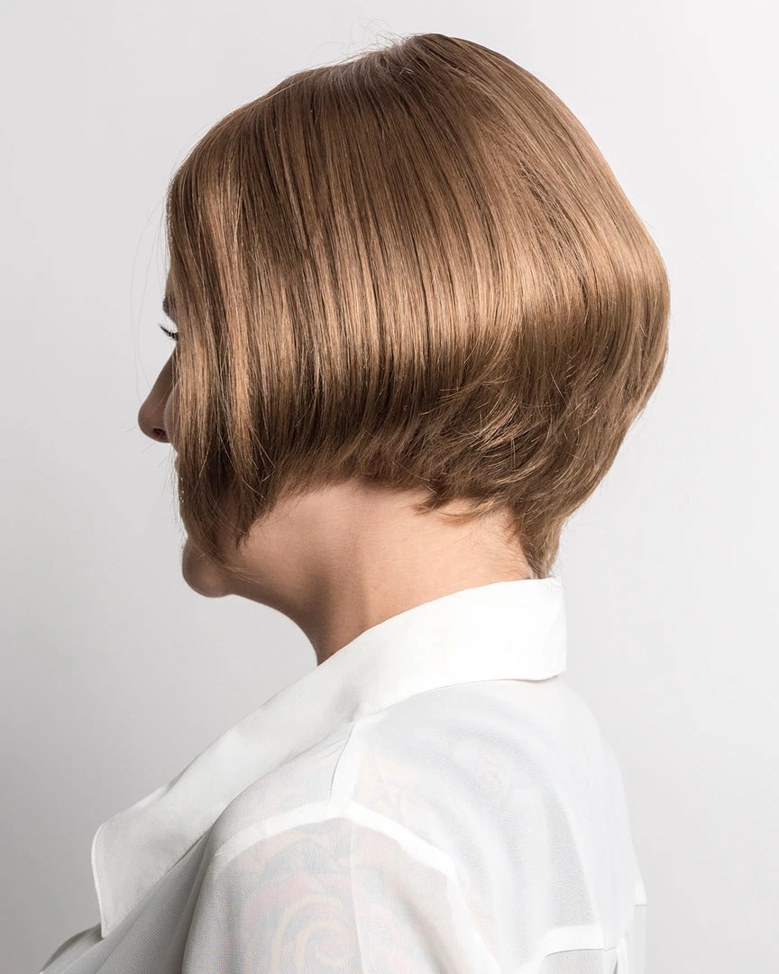 M Paris | Monofilament Synthetic Wig By Wig Pro